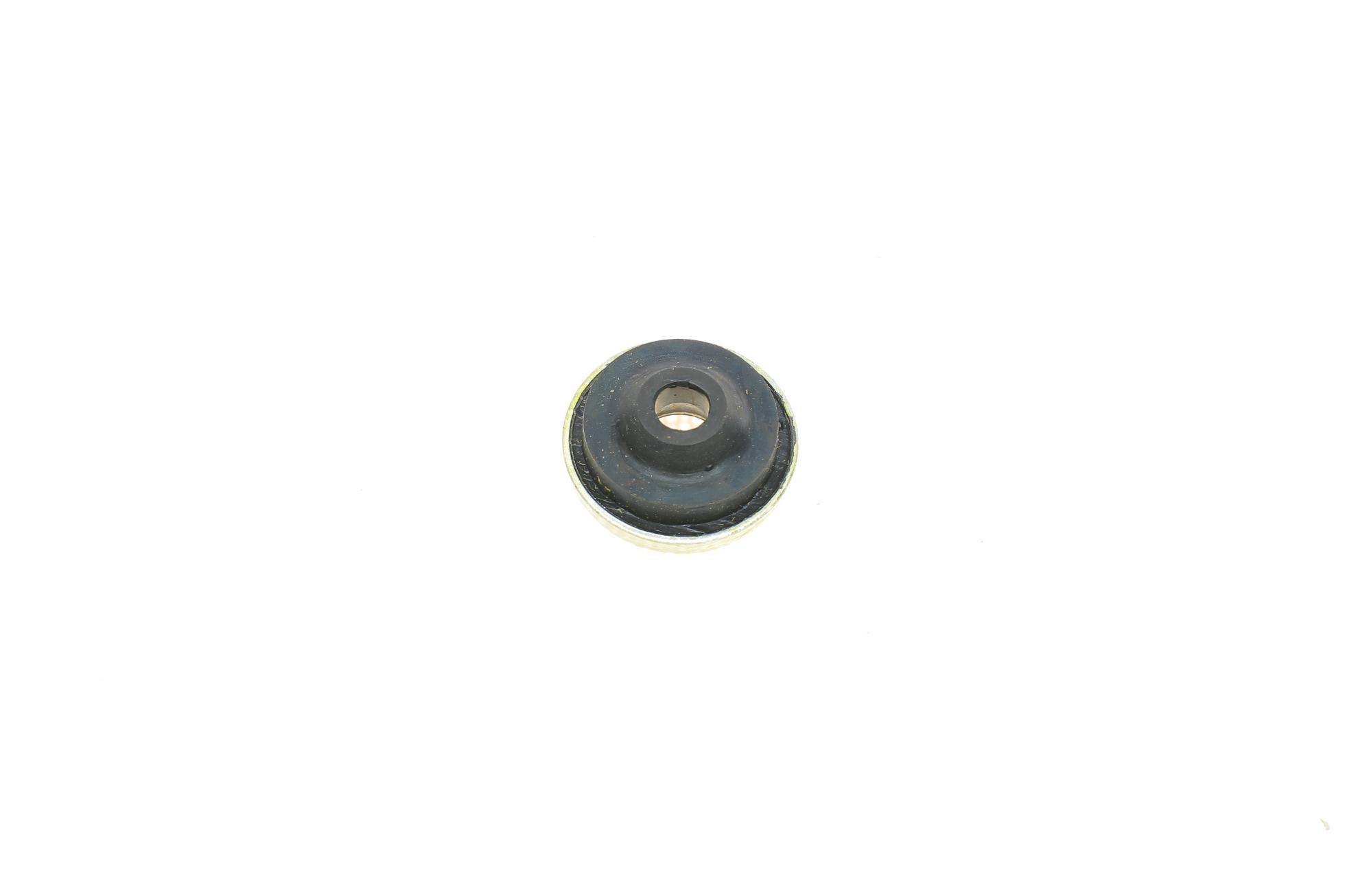 155254301 VICTOR REINZ
